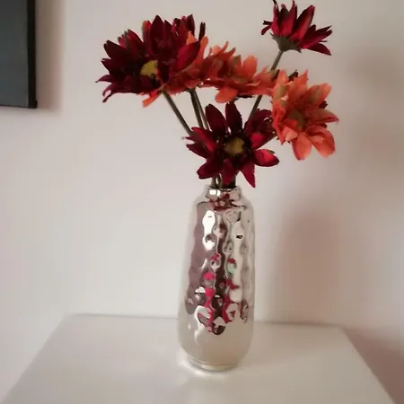 Casetta Flora Daire *